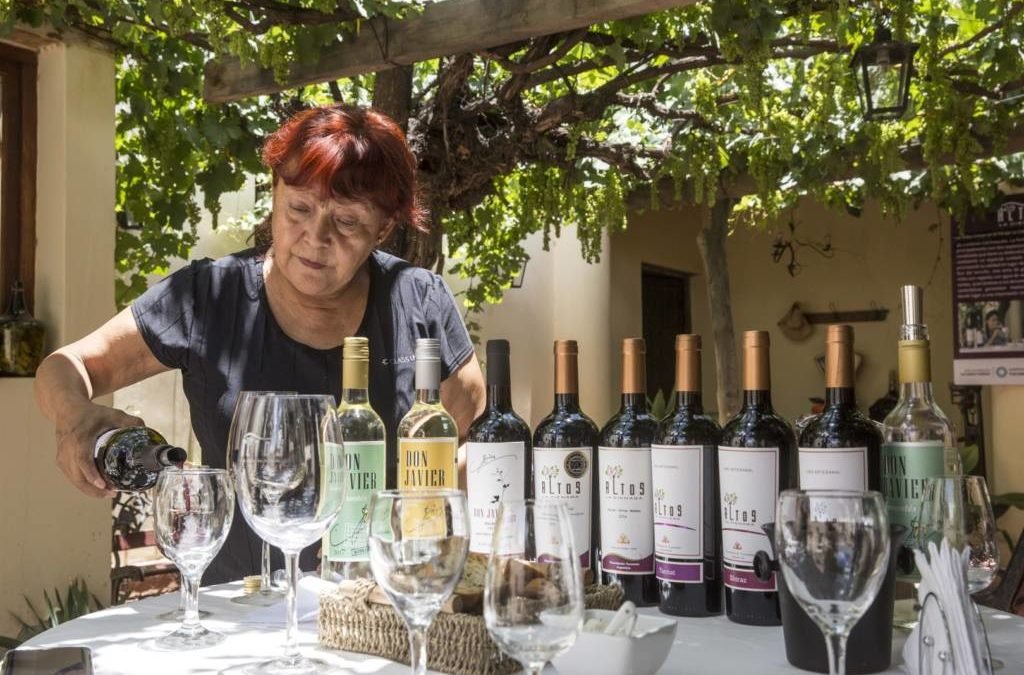 La nueva ruta del vino esta en Tucumán