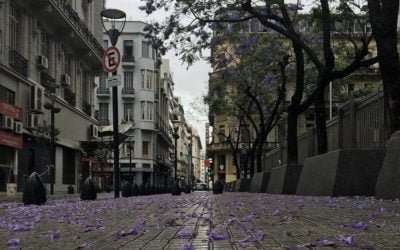 ¡Llegó el calorcito y el color a BA! 🌸