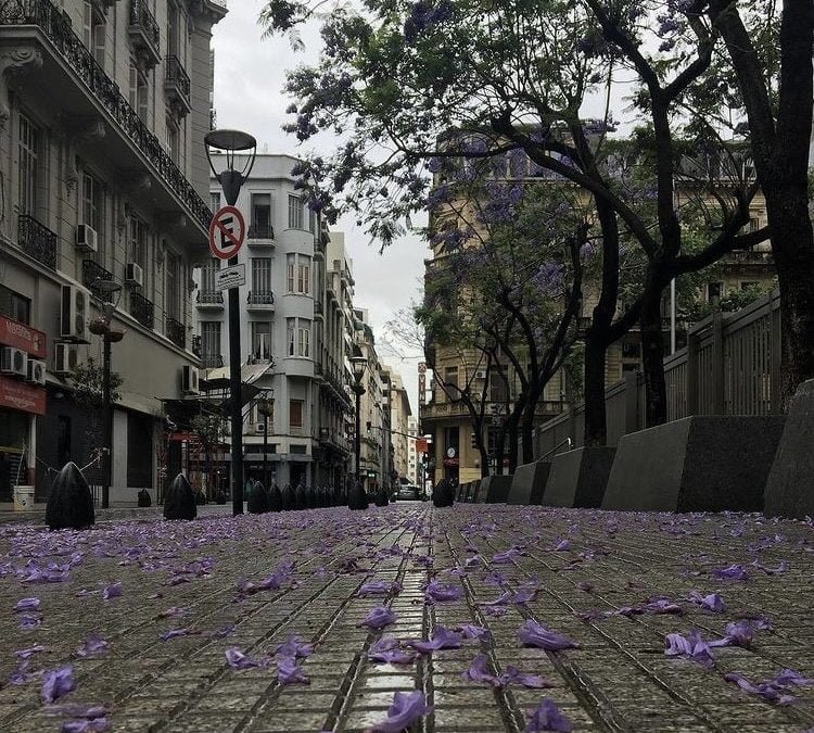 ¡Llegó el calorcito y el color a BA! 🌸